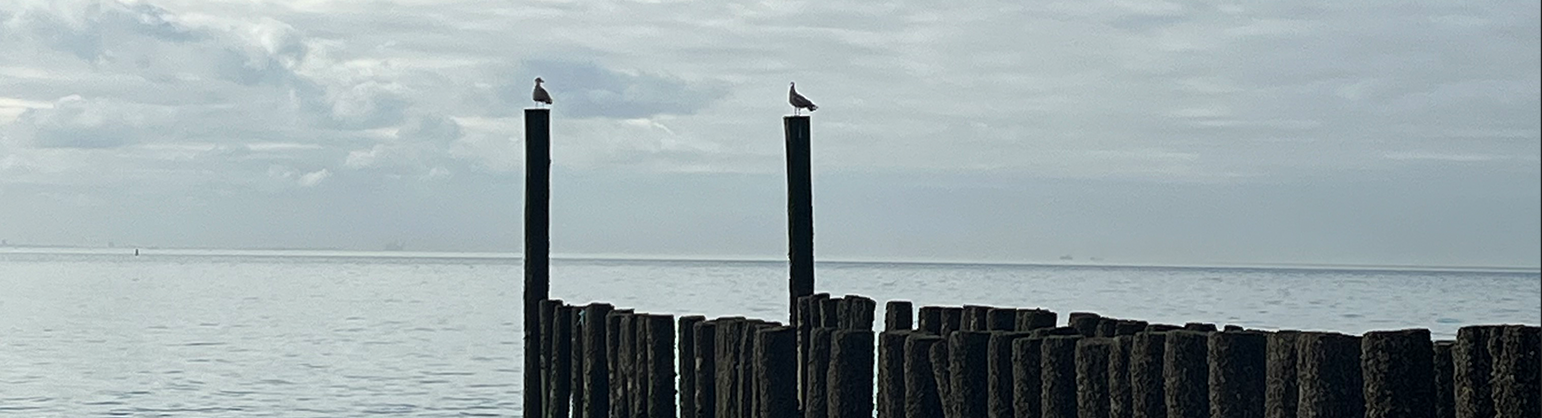 Praktijk Wietse Kroes - Zeeland